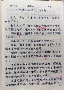 一个难忘的旅行_800字