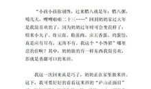 关于春节见闻的作文：春节见闻作文（二）_600字