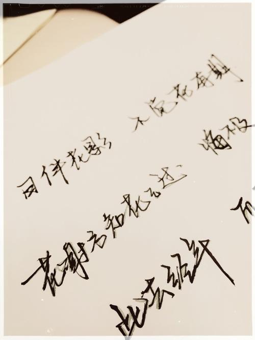 冬天雪飘飘，李子香_700字