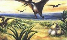 恐龙时代的倒霉者_500字