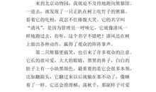 从言行透视人生_300字