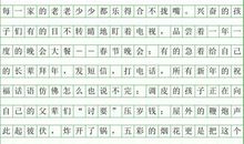 关于春节见闻的作文：春节见闻作文八_600字