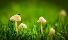 人这一辈子，请活好你自己_900字