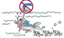 保护环境爱护动物_800字