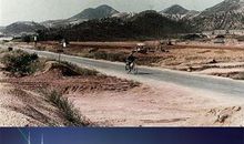 消失在城市_100字