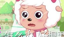 我是美羊羊？！_650字