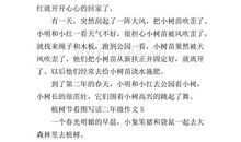 关于植树节的英语作文：命题英语作文 去西山植树_500字