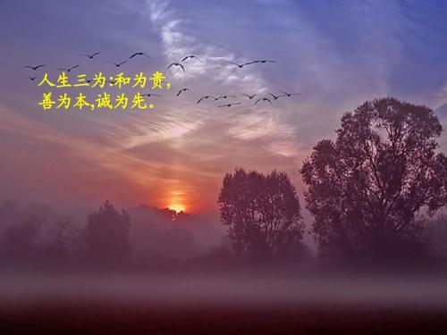 生命天空_1500字