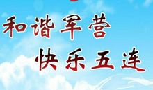 寻找和谐_1000字