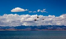 靠自己，展翅高飞——勇敢去追求蓝天底下的梦_1000字