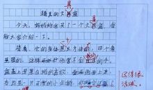 状物作文：漂亮的文具盒_200字