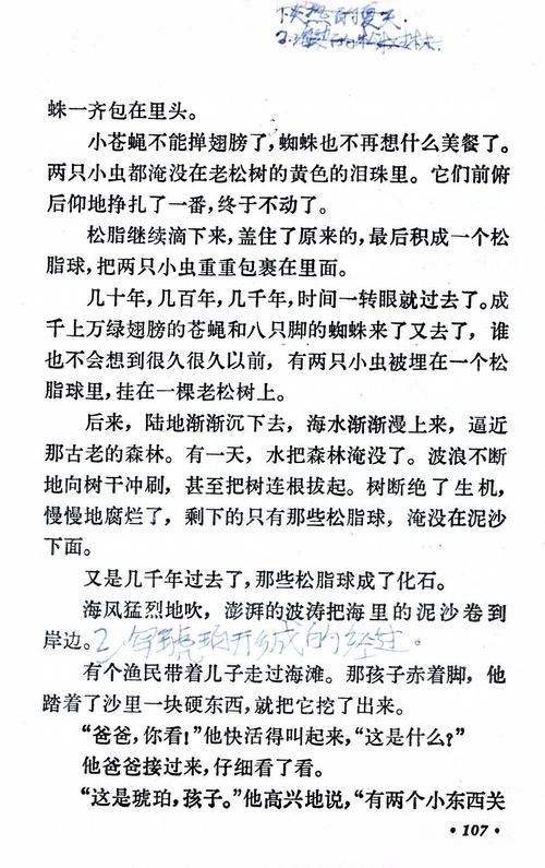 有些照片，有些感受_1200字