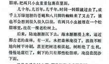 一些相片，一些感慨_1200字