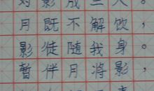 初一状物作文：我的钢笔_600字