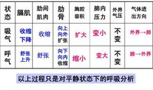 初一状物作文：香烟的自白_1200字