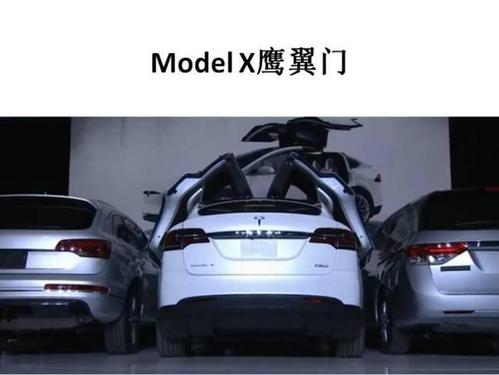 新的新人新生_1000字