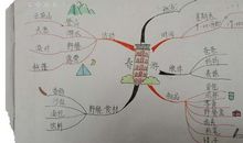 我的春游计划_400字