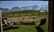 体验乡村生活_400字