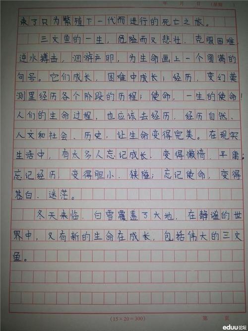 可能有奖品：青年火_1500字