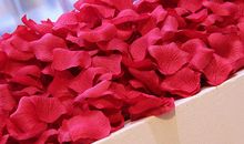 花瓣，闪过爱的双眸_900字