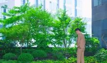 时光不能倒流_300字