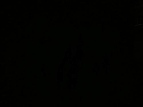 笑_350字