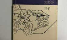 梦里花落知多少_600字