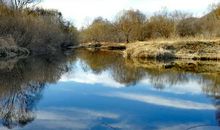 寻找初春的足迹_200字