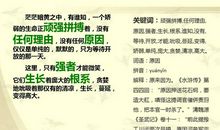 四色依米的诠释_1000字