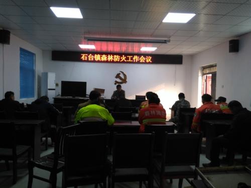 森林王国会议_450字