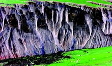 美丽的阿拉尔_350字