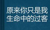 生命中的过客_300字