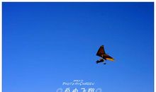 自由飞翔_1000字