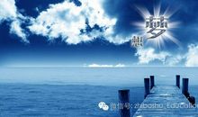 你的爱，绑架了我的未来飞向大海_800字