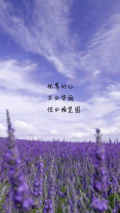时间·青年·未来_900字