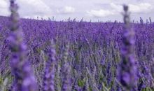 时光·青春·未来_900字