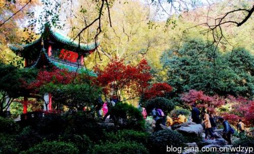 春天岳麓山_400字