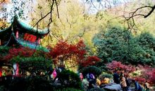 春天的岳麓山_400字