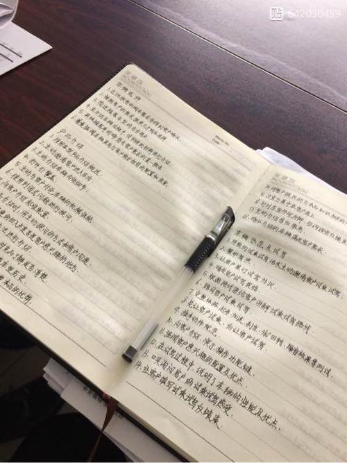 新年的心之旅_750字