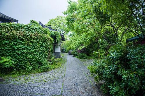 绿西区和谐天堂_500字