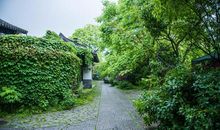 绿色西子和谐天堂_500字