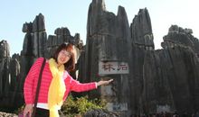 美丽的云南石林_450字