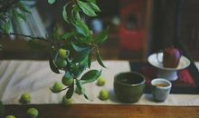 山间菊花朵朵艳_1200字