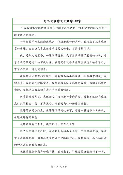 记事本：新年_200字