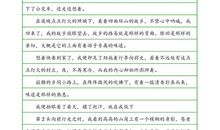 记事作文：过新年_200字