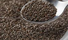 奇妙的种子_500字