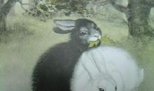 黑兔与白兔_700字