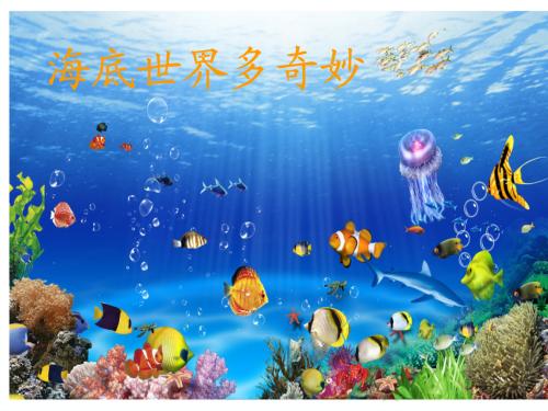 美妙的水下世界_600字