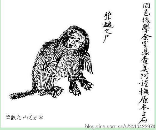 在上帝和幽灵 -  600字