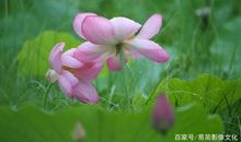 写景作文：美丽的汾河公园_150字